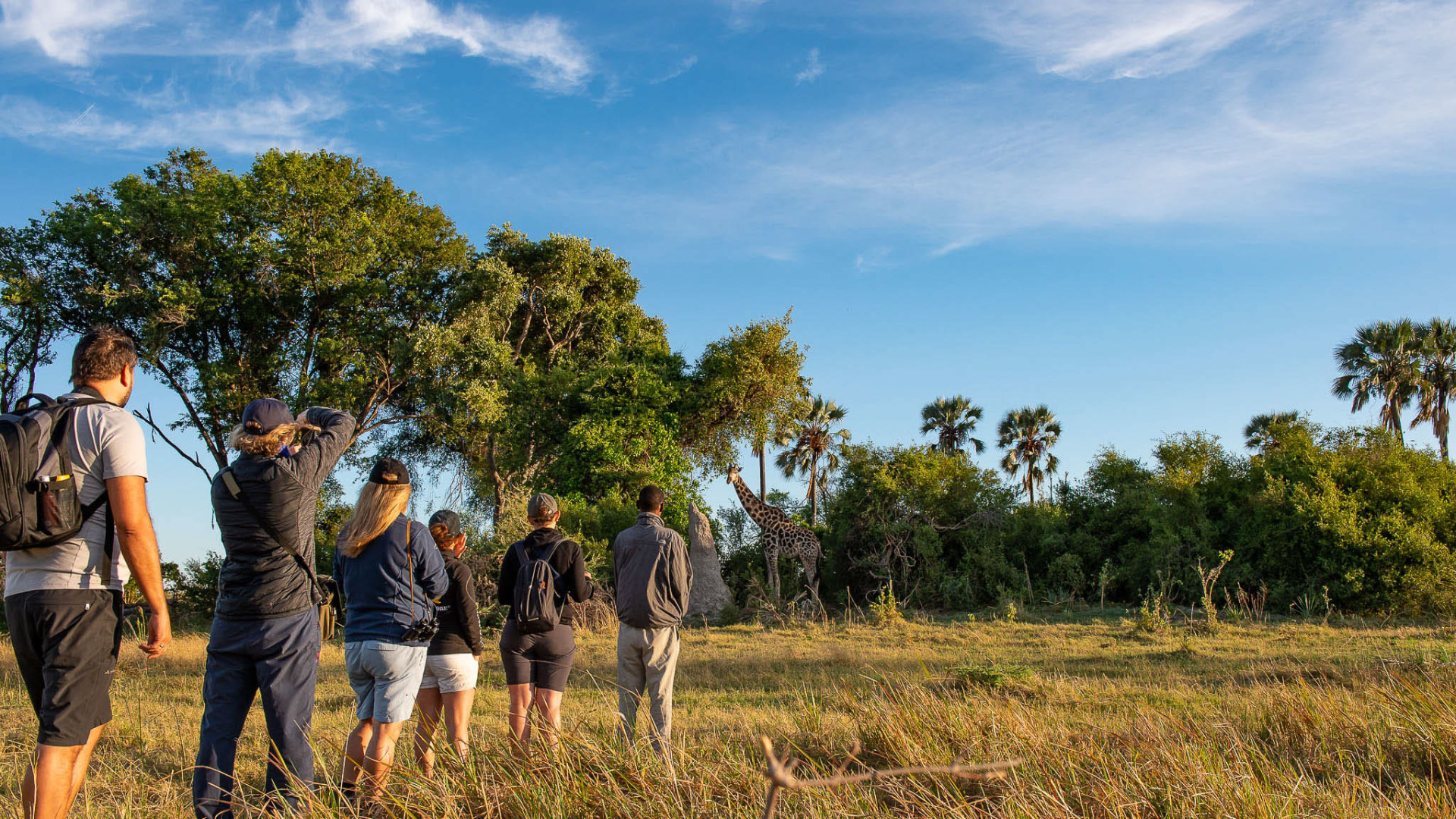Camping-Safari im wilden Botswana
